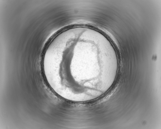 X0000093560783200711121013