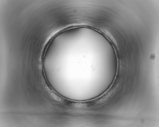 X0000093560789200711121013