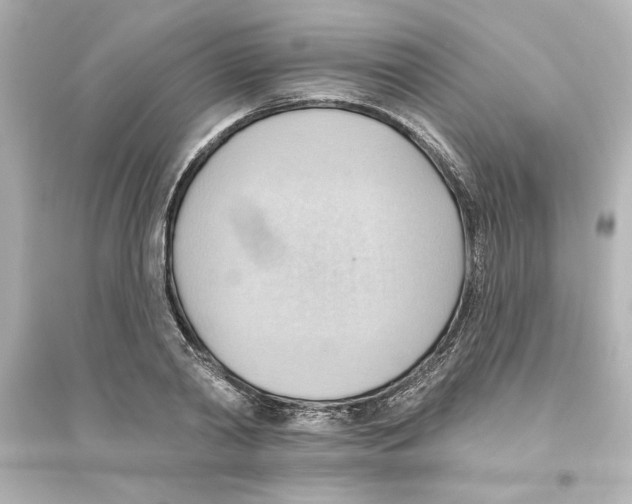 X0000093560790200711121013