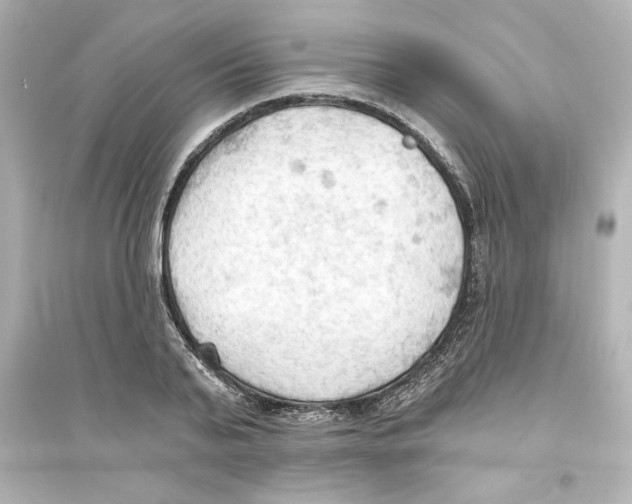 X0000093560791200711121013