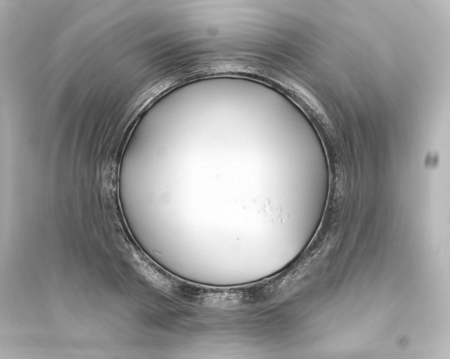 X0000093560793200711121013