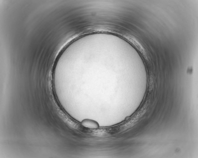 X0000093560798200711121013