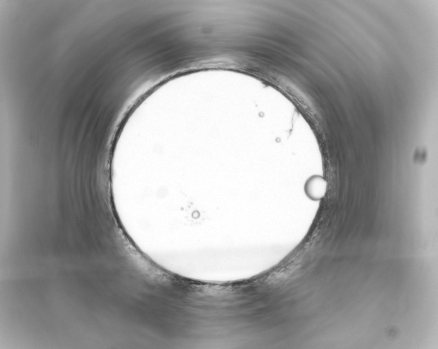 X0000093560800200711121013