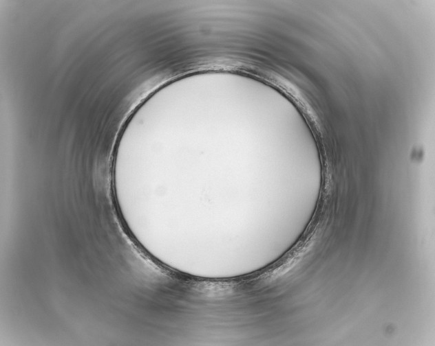 X0000093560802200711121013