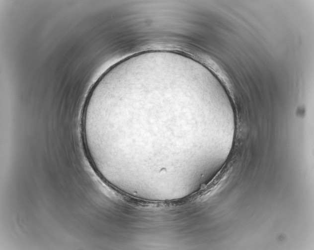 X0000093560803200711121013