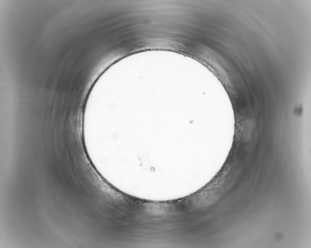 X0000093560804200711121013