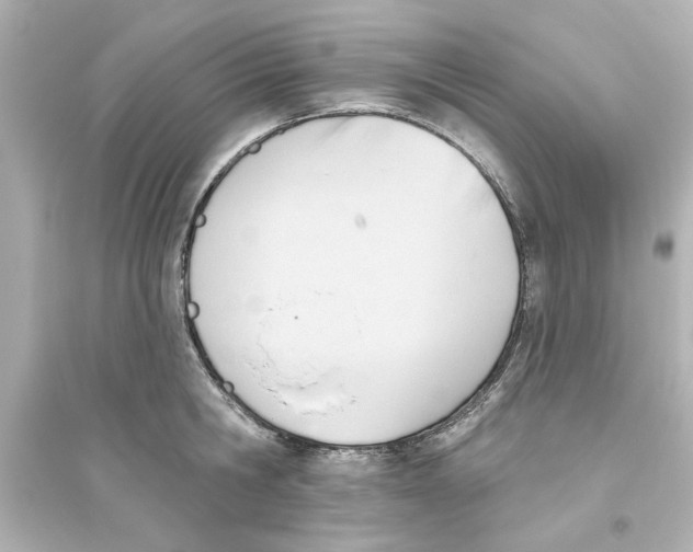 X0000093560806200711121013