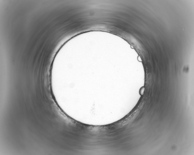 X0000093560808200711121013