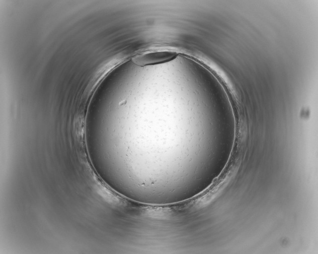 X0000093560809200711121013