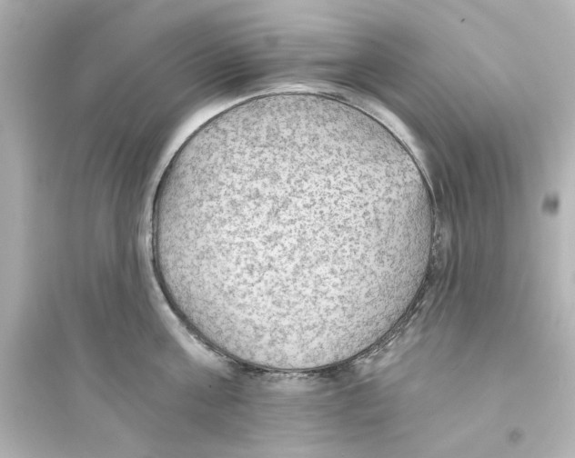 X0000093560811200711121013