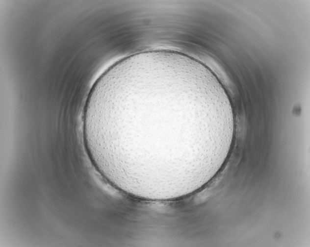 X0000093560814200711121013