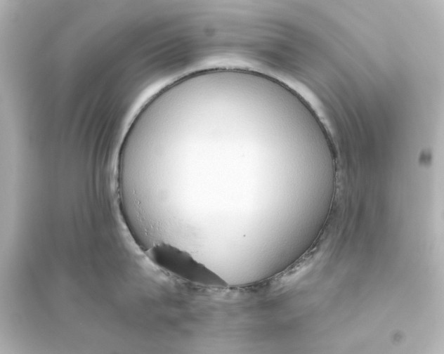 X0000093560815200711121013