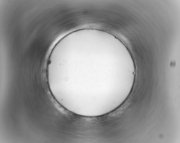 X0000093560816200711121013