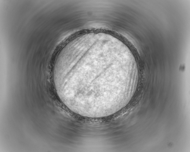 X0000093560823200711121012