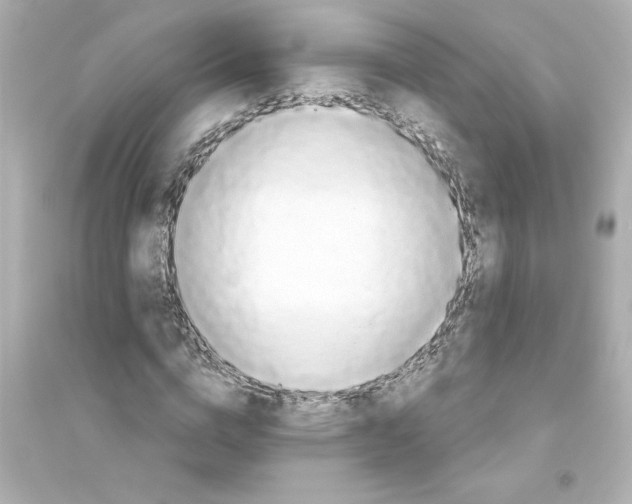 X0000093560824200711121012