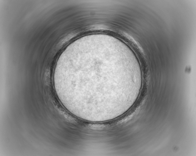 X0000093560825200711121012