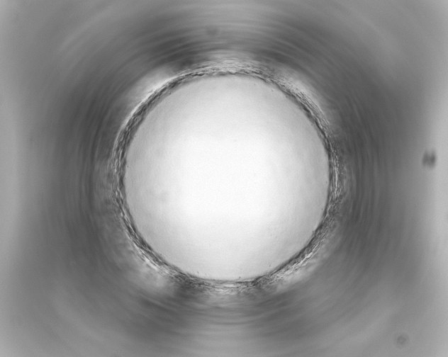 X0000093560828200711121012