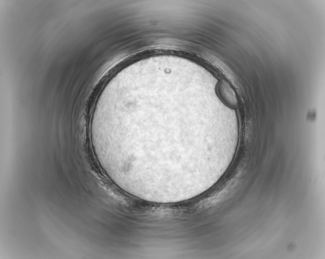 X0000093560829200711121012