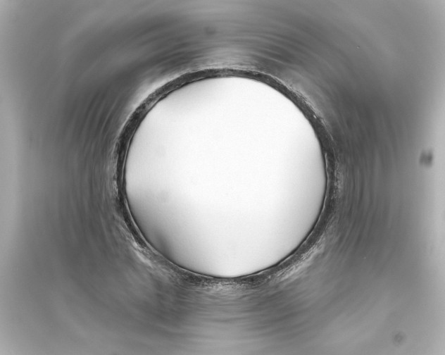 X0000093560830200711121012