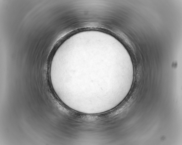 X0000093560831200711121012