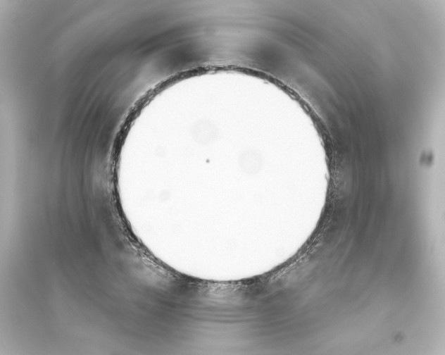 X0000093560832200711121012