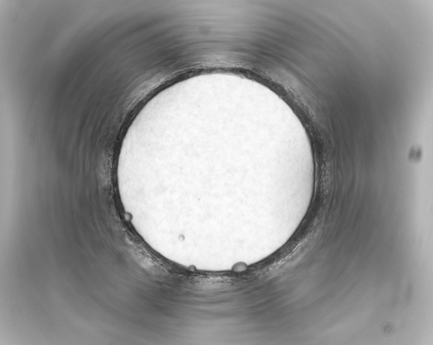 X0000093560833200711121012