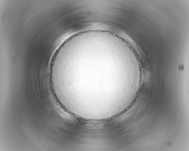 X0000093560836200711121012