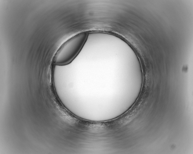 X0000093560838200711121012