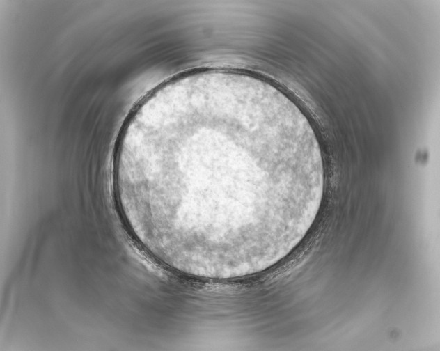 X0000093560840200711121012