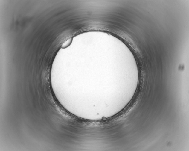 X0000093560841200711121012