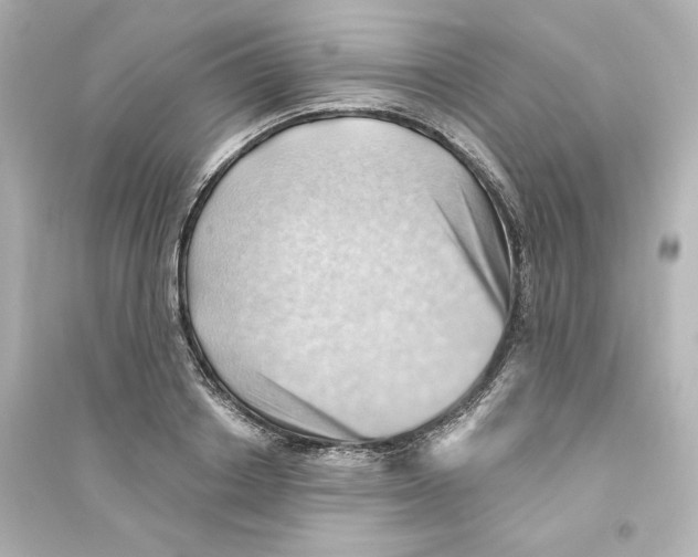 X0000093560842200711121012