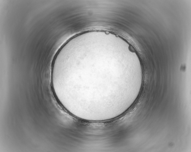 X0000093560844200711121012