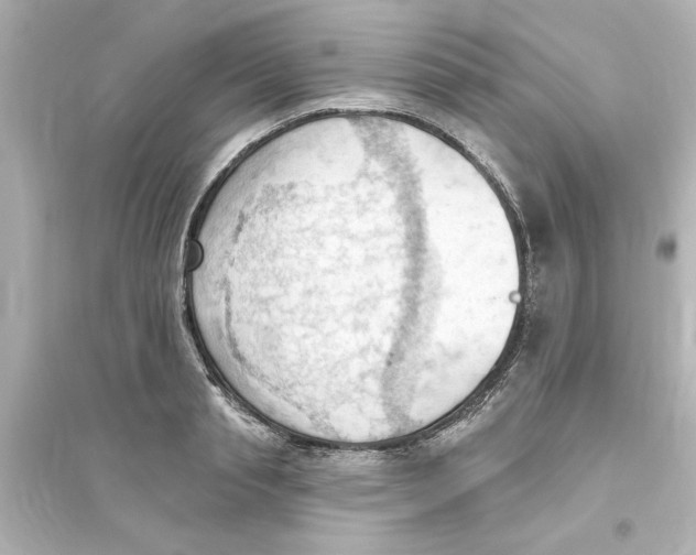 X0000093560845200711121012
