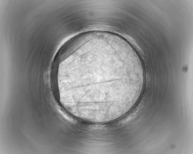 X0000093560846200711121012