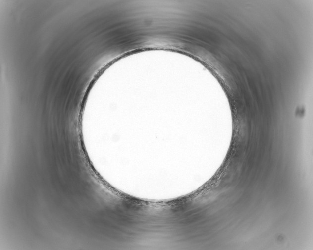 X0000093560848200711121012