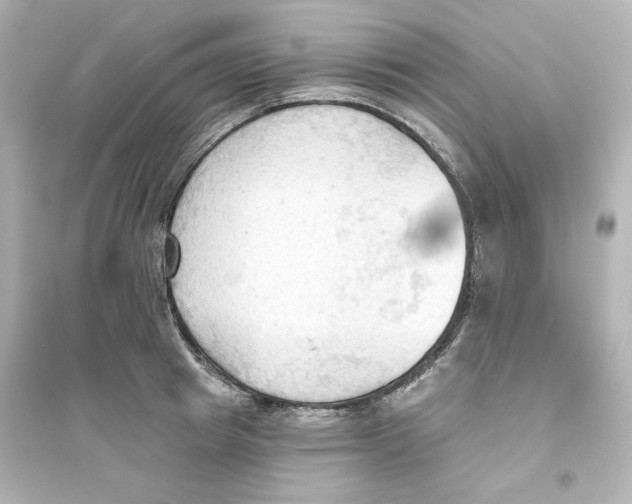 X0000093560849200711121012