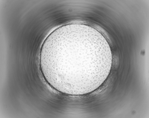 X0000093560852200711121012