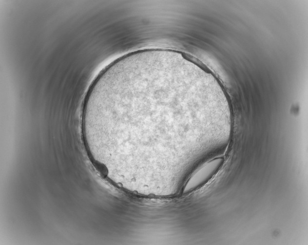 X0000093560854200711121012