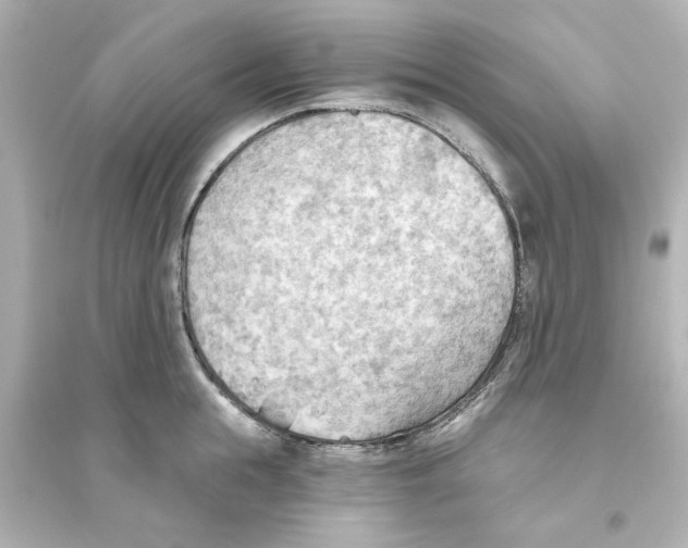 X0000093560855200711121012