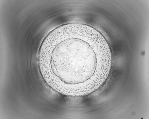 X0000093560856200711121013