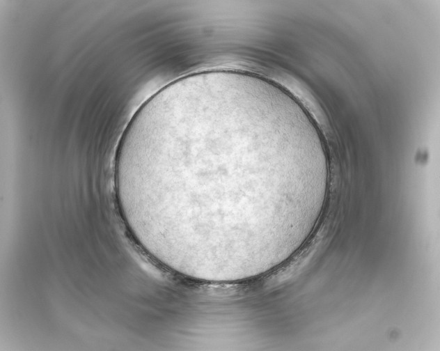 X0000093560858200711121013