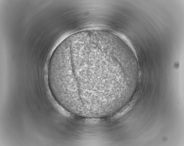 X0000093560859200711121013