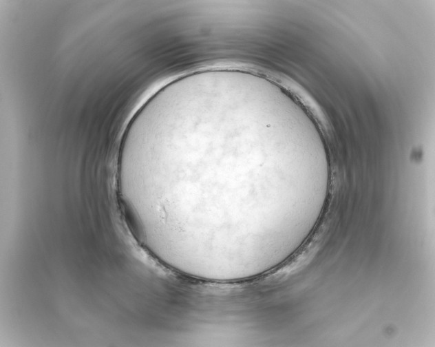 X0000093560860200711121013