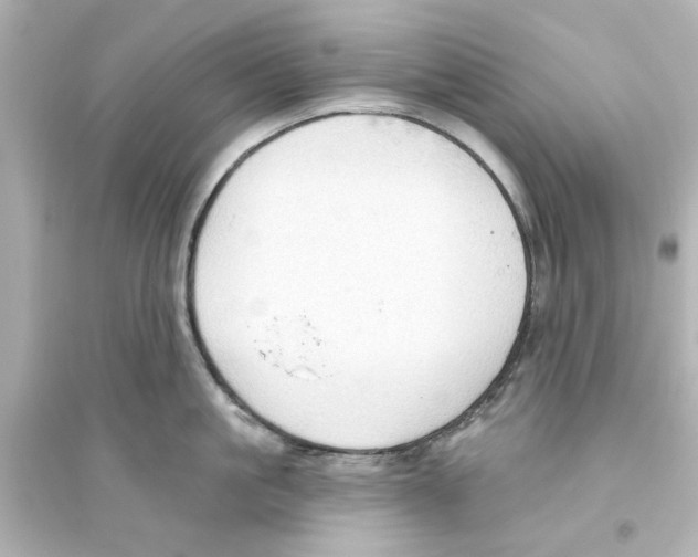 X0000093560861200711121013
