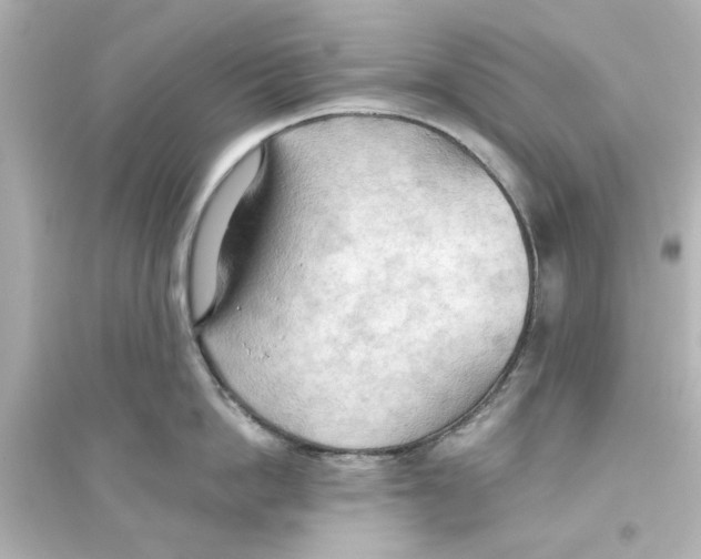 X0000093560862200711121013
