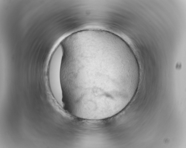 X0000093560864200711121013