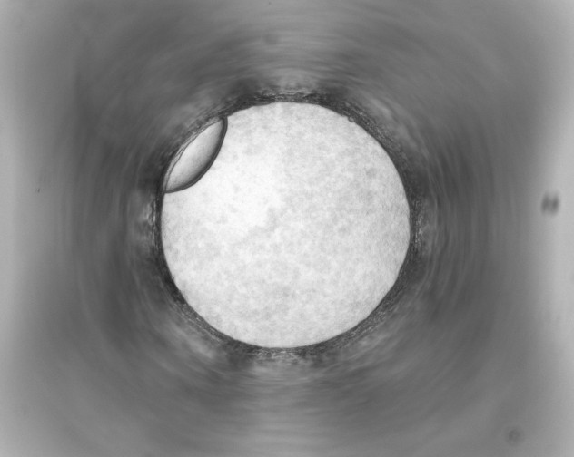 X0000093560866200711121012