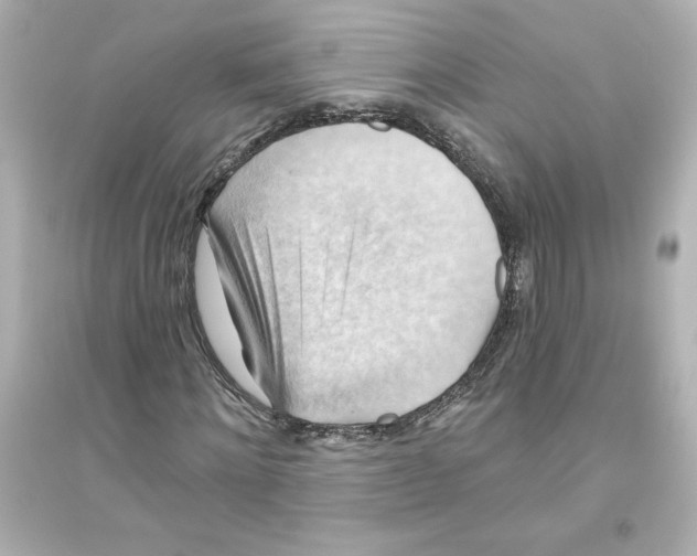 X0000093560868200711121012