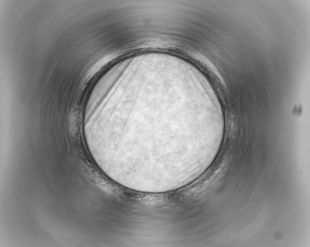 X0000093560874200711121012