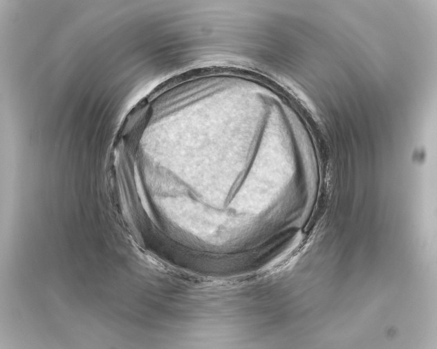 X0000093560877200711121012